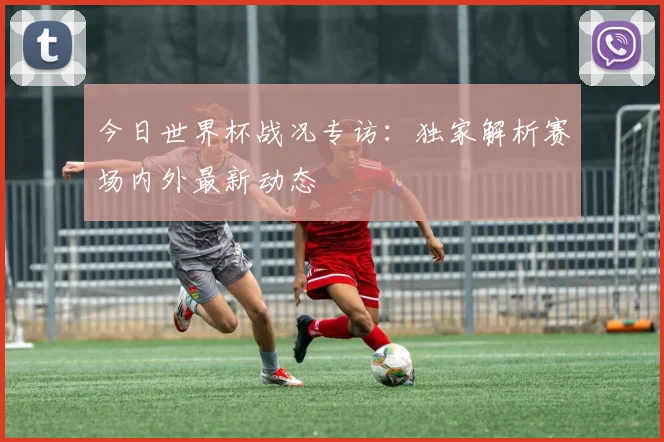 今日世界杯战况专访：独家解析赛场内外最新动态